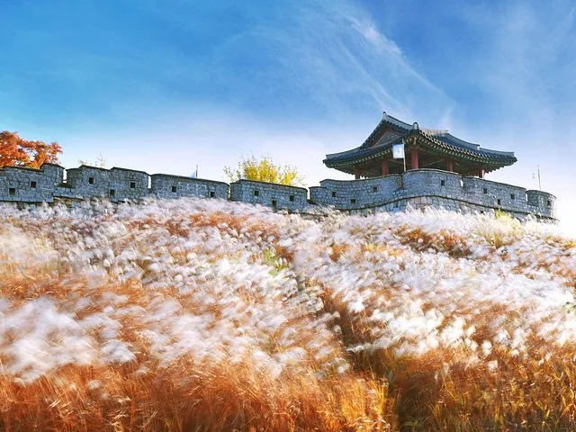 Ein traditioneller koreanischer Pavillon auf einer Steinmauer mit Blick auf ein Feld aus hohem Gras.