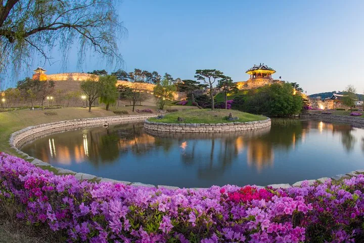 Un laghetto circondato da luminosi fiori rosa con una fortezza tradizionale coreana sullo sfondo.